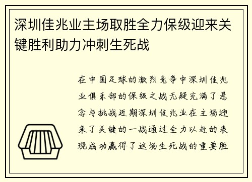 深圳佳兆业主场取胜全力保级迎来关键胜利助力冲刺生死战